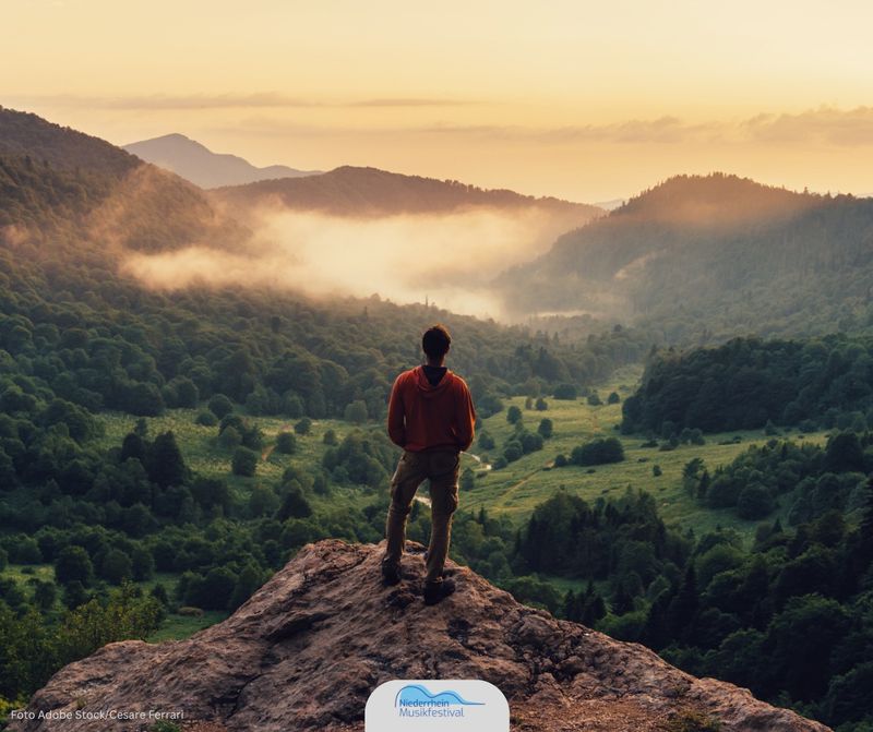 Into the Wild